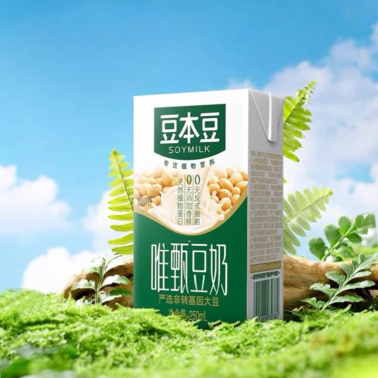 Dou Ben Dou SoyMilk 豆本豆豆奶 250ml x 6 - Image 6